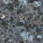 Silver Pearl Pôvod: Nórsko